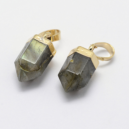 Honeyhandy Natural Labradorite Pointed Charms, with Brass Findings, Long-Lasting Plated, Bullet, Golden, 15x6~6.5mm, Hole: 3.5x6mm