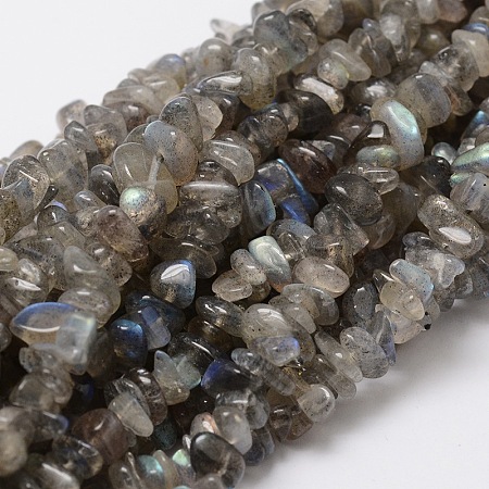 Honeyhandy Natural Labradorite Chip Bead Strands, 5~8x5~8mm, Hole: 1mm, about 16 inch