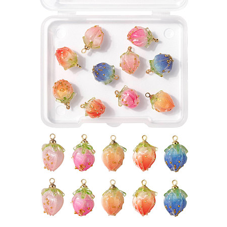 ARRICRAFT 10Pcs 5 Colors Handmade Natural Real Flower Dried Flower Pendants, Covered with Clear Epoxy Resin, with Brass Peg Bails and Glass Micro Beads, Bud, Golden, Mixed Color, 2pcs/color