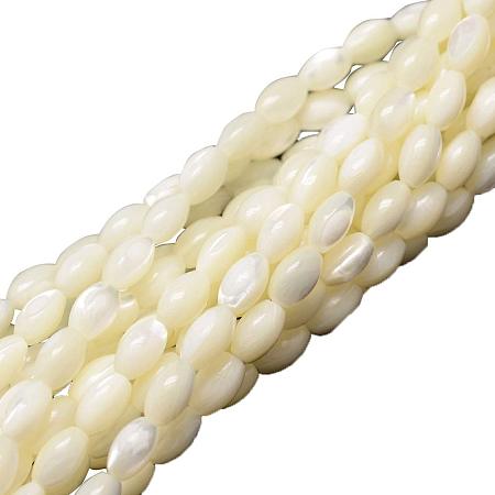 ARRICRAFT 10 Stands 600pcs Ivory Oval Sea Shell Beads Spiral Seashells Natural Gemstone Beads for Necklace, Bracelet, Jewelry Making, Home and Wedding Decor(15.5