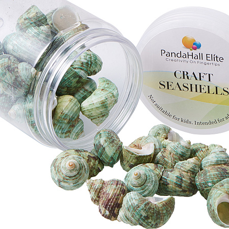 PandaHall Elite 1Box (About 130g) Spiral Seashells Beads Pendants Charms with Holes for Craft Making, Home Decoration, Beach Party, Fish Tank and Vase Fillers (Light Green)