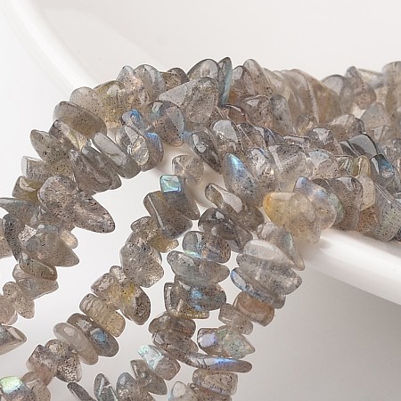 ARRICRAFT Chip Natural Labradorite Bead Strands, Grade A+, 7~12x5~8x2~5mm, Hole: 1mm, about 15.7 inches