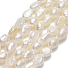 Honeyhandy Natural Cultured Freshwater Pearl Beads Strands, Keshi Pearl Beads, Two Sides Polished, Linen, 5~6x4~4.5x3mm, Hole: 0.6mm, about 55~63pcs/strand, 13.58~13.98''(34.5~35.5cm)