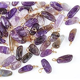 SUPERFINDINGS About 50Pcs Natural Amethyst Pendants Irregular Purple Stones with Golden Tones Copper Wire Crystal Gemstones for Necklace Jewellery Making Craft Gift,Hole:2.5~3.2mm