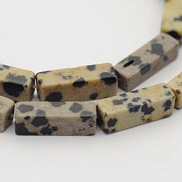 Honeyhandy Natural Dalmatian Jasper Cuboid Beads Strands, 13x4x4mm, Hole: 1mm, about 31pcs/strand, 16.1 inch