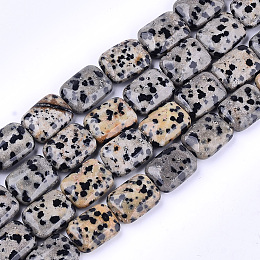 Honeyhandy Natural Dalmatian Jasper Beads Strands, Rectangle, 17.5~18.5x13~13.5x6~7mm, Hole: 1mm, about 22pcs/strand, 15.5 inch