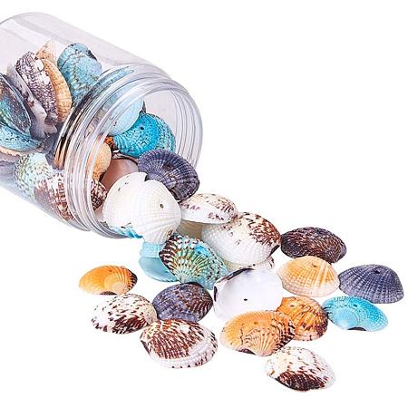 PH PandaHall 85 pcs Dyed Natural Conch Shell Beads Drilled Tiny Scallop Sea Shells Ocean Beach Seashells Craft Charms for Candle Making Home Decoration Party Wedding Decor