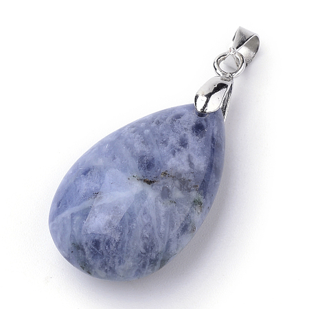 Honeyhandy Natural Sodalite Pendants, with Alloy Findings, teardrop, Platinum, 23~24x14x8mm, Hole: 4x5mm