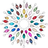 SUNNYCLUE 1 Box 48Pcs 12 Colors Alloy Glass Pendant Crystal Birthstone Charms Faceted Dangle Drop Cube Beads Horse Eye Teardrop with Lobster Claw Clasps Iron Jump Rings for Crafting