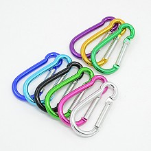 Honeyhandy Aluminum Rock Climbing Carabiners, Key Clasps, Platinum, about 24mm wide, 50mm long, 4mm thick