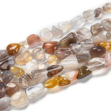 Honeyhandy Natural Botswana Agate Beads Strands, Nuggets, Tumbled Stone, 5~8.5x5.5~7x3.5~4mm, Hole: 0.7mm, about 64pcs/strand, 16.34''(41.5cm)