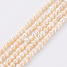 Honeyhandy Natural Cultured Freshwater Pearl Beads Strands, Potato, Beige, 2.5~3mm, Hole: 0.5mm, about 168pcs/strand, 13.58 inch