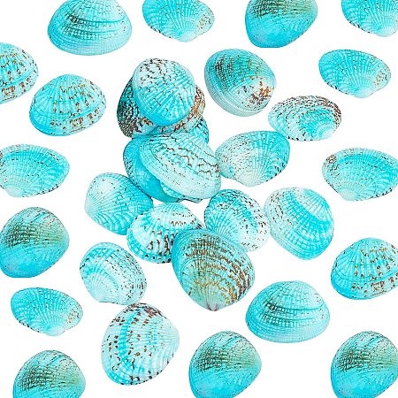PandaHall Elite 35pcs Dyed Natural Shell Beads, 32~37mm Undrilled Scallop Sea Shell Blue Clam Beach Seashell for Jewelry Candle Making Home Party Wedding Decor Fish Tank Vase Filler Wish Bottle, No Hole
