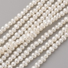 Honeyhandy Grade AAA Natural Cultured Freshwater Pearl Beads Strands, Potato, Seashell Color, 4x3~3.5mm, Hole: 0.5mm, about 123pcs/strand, 14.7 inch(37.5cm)