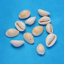 Honeyhandy Natural Cowrie Shell Beads, Seashell Color, 18.5~23x13~14x9~11mm, Hole: 1.5mm, about 470pcs/500g