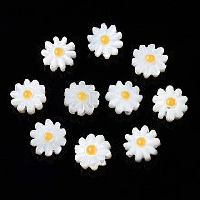 Honeyhandy Natural Freshwater Shell Beads, with Enamel, Flower, Gold, 8x4mm, Hole: 0.8mm