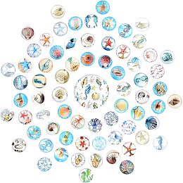 SUNNYCLUE 1 Box 140Pcs 70 Styles Animal Cabochons Ocean Sea Theme 12MM Flat Round Glass Cabochon Flatbacks Colorful Shells Starfish Beads Dome for DIY Earrings Bracelets Findings, Random Style