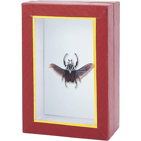 Arricraft Shadow Box, Insect Box Frame, Wood Display Case, Wood Storage Box for Jewelry & Pins Display, Wedding Memorabilia, Specimen Keep