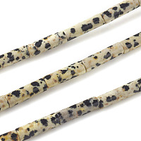 Arricraft Natural Dalmatian Jasper Beads Strands, Column, 13~14x4mm, Hole: 1mm, about 30pcs/strand, 15.9 inches(40.5cm)