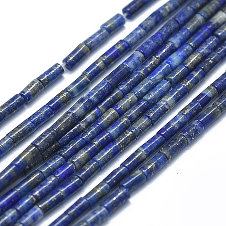 Arricraft Natural Lapis Lazuli Beads Strands, Column, 4~5x2~2.5mm, Hole: 0.6~0.8mm, about 90~102pcs/strand, 15.3~15.7 inches(39~40cm)