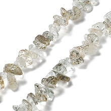 Natural Rutilated Quartz Beads Strands, Chip, 1~8x5~17x5~8mm, Hole: 0.9~1mm, 30.31~31.50''(77~80cm)