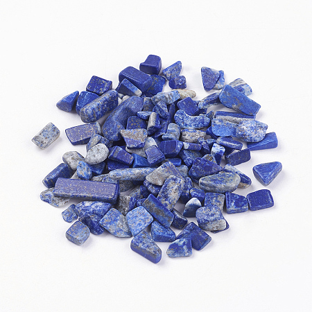 Arricraft Natural Lapis Lazuli Beads, No Hole/Undrilled, Chips, 5~8x2~5mm, about 50g/bag