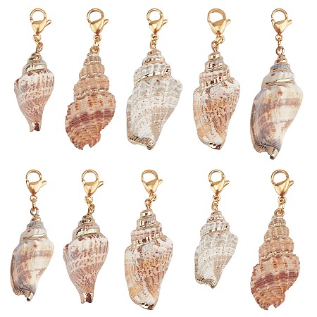 SUNNYCLUE Electroplated Conch Shell Pendants, with 304 Stainless Steel Lobster Claw Clasps, Golden, 43mm, 10pcs/bag