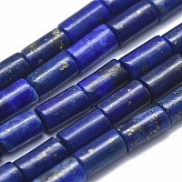 Arricraft Natural Lapis Lazuli Beads Strands, Column, 3.5~4x2mm, Hole: 0.7mm, about 100pcs/strand, 15.35 inches(39cm)