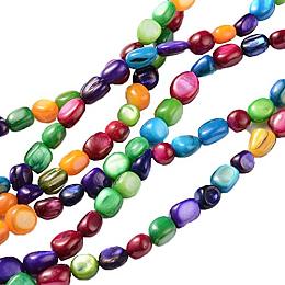 ARRICRAFT About 940pcs 20 Stands Mixed Color Freshwater Shell Beads Strands Seashells Beads Gemstone Beads for Necklace, Bracelet, Jewelry Making (15")