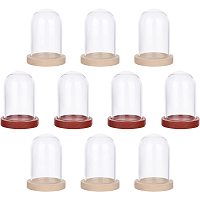 NBEADS 10 Sets Mini Eternal Flower Glass Dome Cloche, Clear Glass Display Case with 2 Colors Wooden Base Bell Jar Cloche for Centerpieces Plants Rocks Specimens Decorations Crafts, 1.6x1