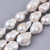 ARRICRAFT Natural Baroque Pearl Keshi Pearl Beads Strands, Cultured Freshwater Pearl, Teardrop, Seashell Color, 15~30x13~23x13~15mm, Hole: 0.6mm, about 20pcs/Strand, 15.75 inches(40cm)