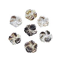 ARRICRAFT 20 pcs Flower Natural Black Lip Shell Beads for Earring Bracelet Necklace Jewelry Making， Mixed Colors