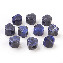 Honeyhandy Natural Sodalite European Beads, Large Hole Beads, Heart, 13~14x13~14x9~10mm, Hole: 5.5~6mm