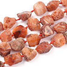 Honeyhandy Rough Raw Natural Carnelian Beads Strands, Nuggets, 15~27x16~29mm, Hole: 1.5mm, about 16pcs/strand, 15.55''~16.34''(39.5~41.5cm)