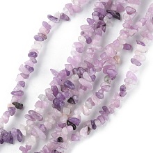 Honeyhandy Natural Lilac Jade Beads Strands, Chip, 1.5~4.5x3~13x2.5~8mm, Hole: 0.6mm, 30.94~31.97 inch(78.6~81.2cm)