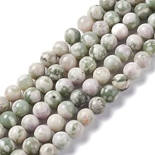 Honeyhandy Natural Peace Jade Beads Strands, Round, 8mm, Hole: 1.2mm, about 46pcs/strand, 14.96 inch(38cm)