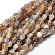 Honeyhandy Natural Botswana Agate Nuggets Beads Strands, 5~10x6~7x3~7mm, hole: 1mm, about 14.9 inch~15.7 inch