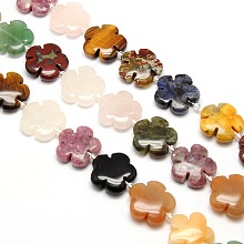 Honeyhandy Mixed Natural Gemstone Flower Beads Strands, 15x5.5mm, Hole: 1mm, about 27pcs/strand, 15.74 inch