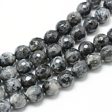 Honeyhandy Natural Larvikite Bead Strands, Faceted Round, 8mm, Hole: 1mm, about 45pcs/strand, 14.6 inch