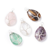 Honeyhandy Natural Amethyst & Natural Tiger Eye & Natural Green Fluorite & Natural Rose Quartz & Natural Quartz Crystal  Pendants, with Silver Tone Copper Wire Wrapped Tree, Teardrop, 46x26x12mm, Hole: 5mm