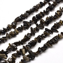 Honeyhandy Natural Golden Sheen Obsidian Chip Bead Strands, 5~8x5~8mm, Hole: 1mm, about 31.5 inch