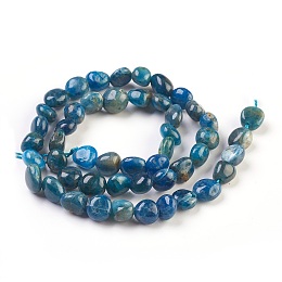 Honeyhandy Natural Apatite Beads Strands, Tumbled Stone, Nuggets, 6~10x5~9mm, Hole: 0.8mm, about 49pcs/strand, 15.7 inch(40cm)