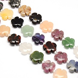 Honeyhandy Mixed Natural Gemstone Flower Beads Strands, 20x6.5mm, Hole: 1mm, about 20pcs/strand, 16.53 inch