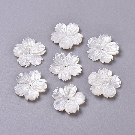 ARRICRAFT Natural White Shell Beads, Mother of Pearl Shell Beads, Sakura, 25x3mm, Hole: 1.2mm