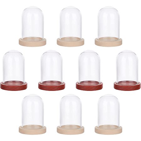 NBEADS 10 Sets Mini Eternal Flower Glass Dome Cloche, Clear Glass Display Case with 2 Colors Wooden Base Bell Jar Cloche for Centerpieces Plants Rocks Specimens Decorations Crafts, 1.6x1