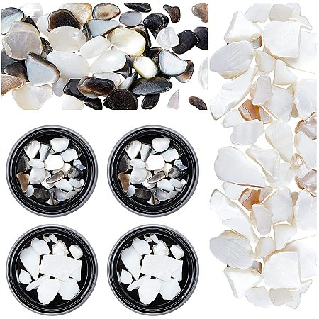 SUNNYCLUE 4 Boxes 2 Styles Shell Fragments Nail Art Natural Seashells Irregular Seashell Slices Resin Filling Accessories for DIY Design Decoration Scrapbooking Crafts Supplies