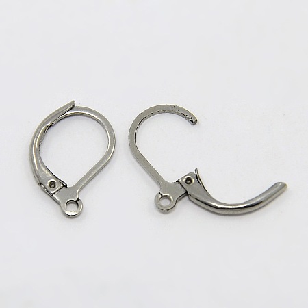 PandaHall Elite 304 Stainless Steel French Earring Hooks, Lever Back Hoop Earrings, Stainless Steel Color, 10x15mm