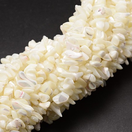 ARRICRAFT Natural Trochid Shell/Trochus Shell Beads Strands, Shell Shards, Chip, Creamy White, 5~8x5~8mm, Hole: 1mm, 32 inches