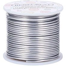 BENECREAT 12 Gauge 100 Feet Tarnish Resistant Aluminum Wire Primary Color for Jewelry Beading Craft Sculpting Model Skeleton