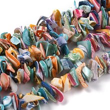 Honeyhandy Natural Spiral Shell Beads, Chips, Colorful, 9~22x9~22x1mm, Hole: 1.2mm, about 243pcs/strand, 15.75''(40cm)